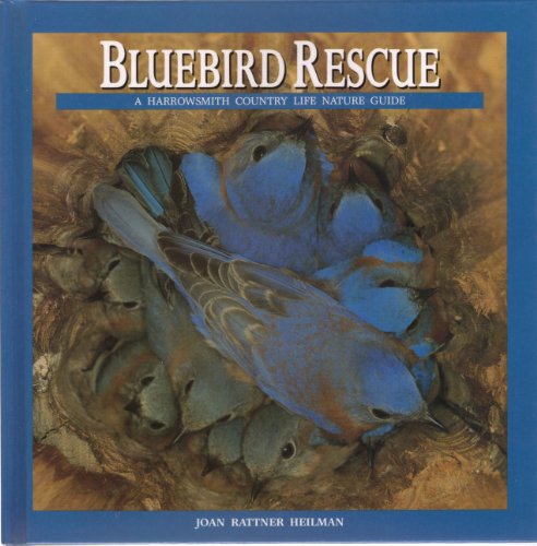 Bluebird Rescue