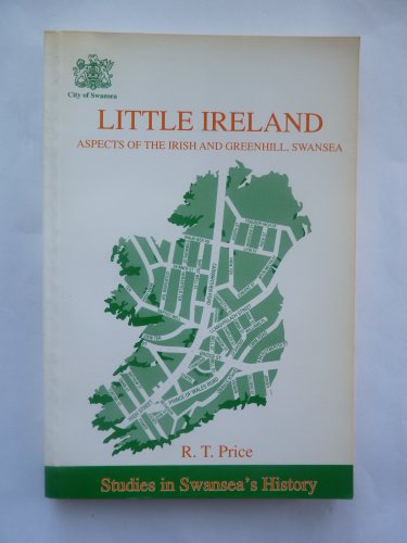 Little Ireland: Aspects of the Irish and Greenhill, Swansea (Studies in Swansea's history)