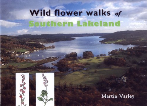 Wild Flower Walks of Southern Lakeland