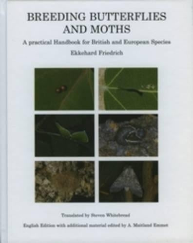 Breeding Butterflies and Moths
