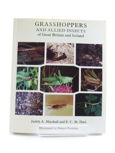 Grasshoppers and Allied Insects of Great Britain and Ireland