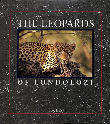 Leopards of Londolozi