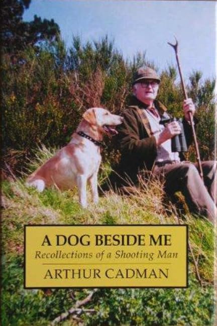 A Dog Beside Me