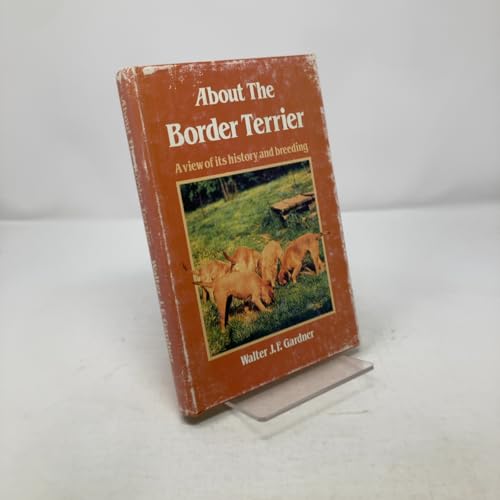 About the Border Terrier