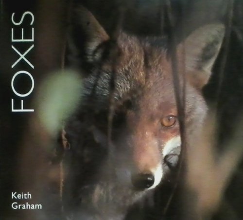 Foxes