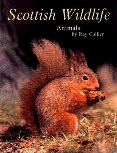 Scottish Wildlife