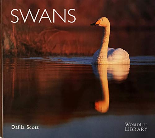 Swans