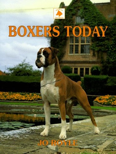 Boxers Today