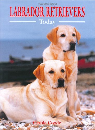 Labrador Retrievers Today