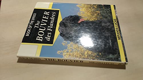 The Bouvier des Flandres