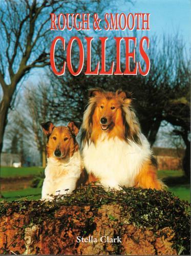 Rough and Smooth Collies