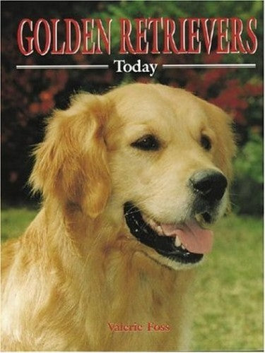 Golden Retrievers Today