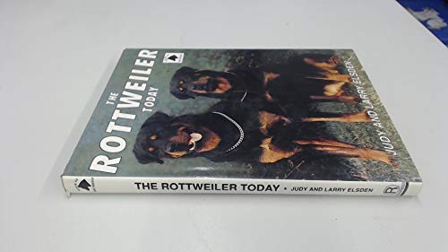 The Rottweiler Today