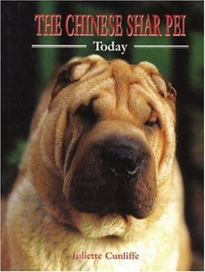 Shar Pei Today 