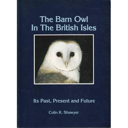 Barn Owl in the British Isles