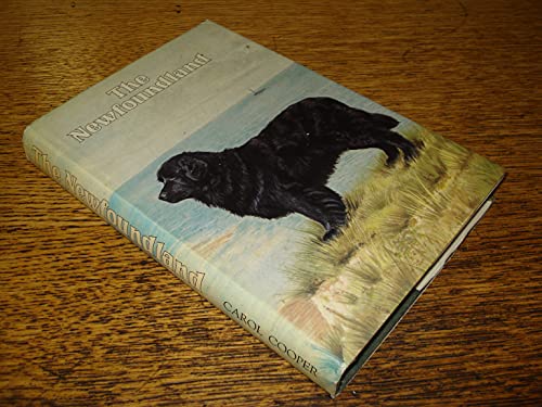 The Newfoundland