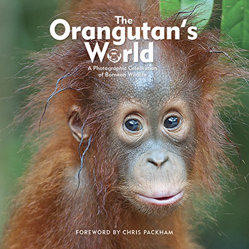 The Orangutans World