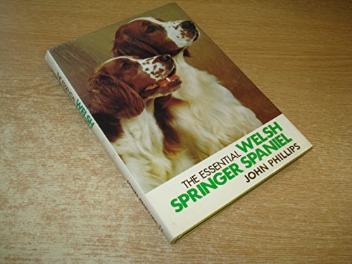 Essential Welsh Springer Spaniel