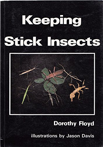 Keeping Stick Insects