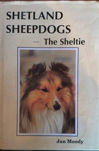 Shetland Sheepdogs: Sheltie, The