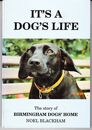 It's a Dog's Life