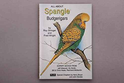 Spangle Budgerigars