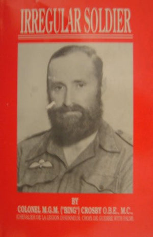 Irregular Soldier