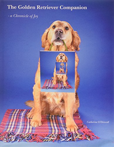 Golden Retriever Companion
