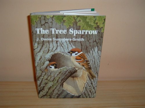 Tree Sparrow