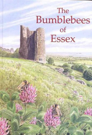 The Bumblebees of Essex