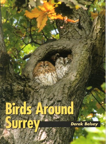 Birds around Surrey