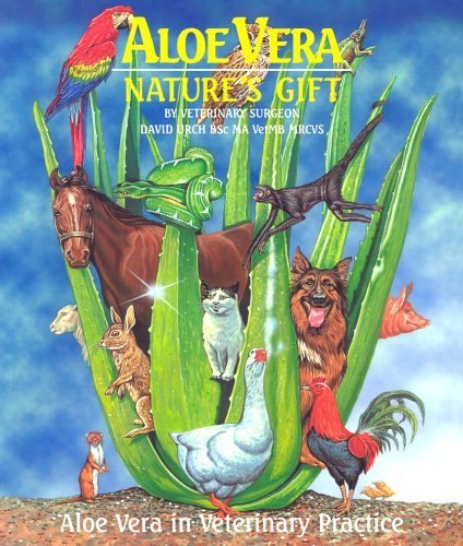 Aloe Vera - Nature's Gift