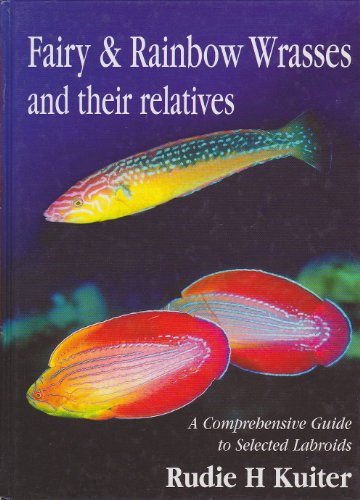 Fairy and Rainbow Wrasses