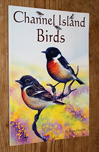 Channel Island Birds