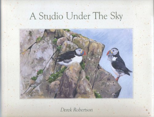 A Studio Under the Sky