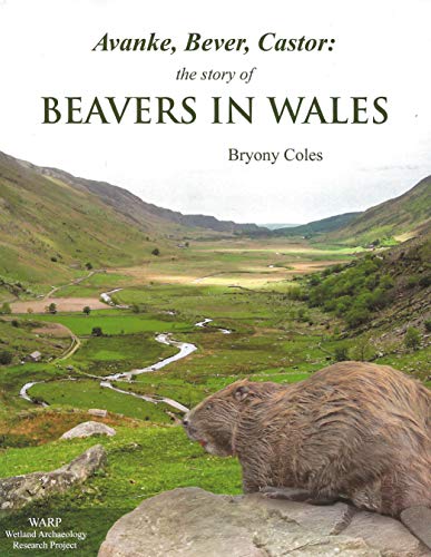 Avanke, Bever, Castor: the story of Beavers in Wales.