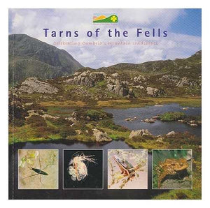 Tarns of the Fells 