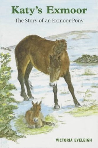 Katy's Exmoor