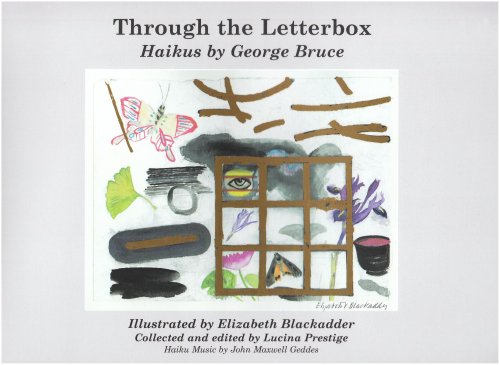Through the Letterbox