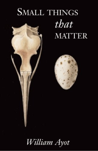 Small Things That Matter
