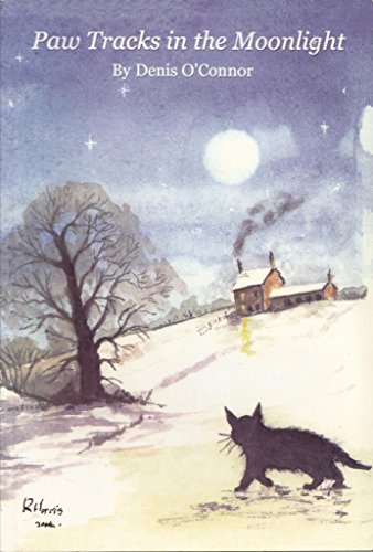 Paw Tracks in the Moonlight
