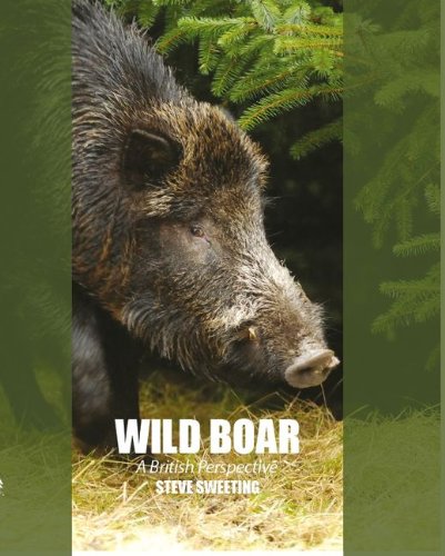Wild Boar