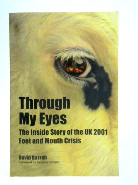 Through My Eyes