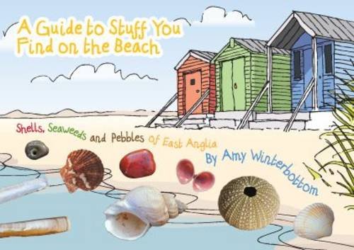 A Guide to Stuff You Find on the Beach
