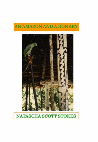 An Amazon and a Donkey