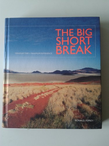The Big Short Break