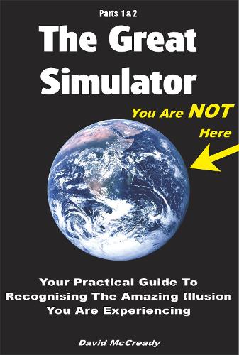 The Great Simulator