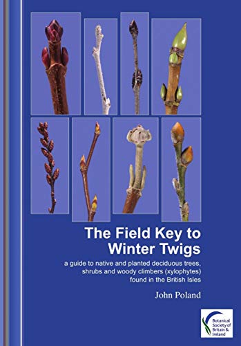 The Field Key to Winter Twigs