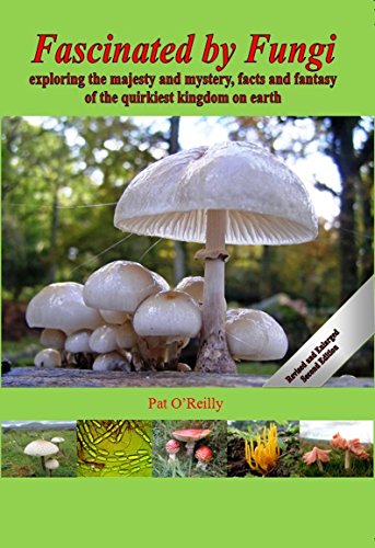Fascinated by Fungi