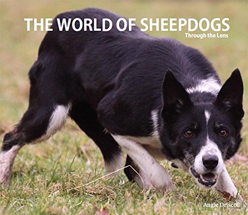 The World of Sheepdogs